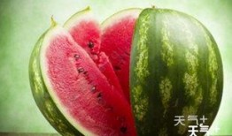 吃瓜群qq免费网红是谁,吃瓜群QQ免费网红背后的神秘面纱”