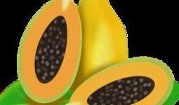 吃瓜素材免费视频下载网站,吃瓜素材网站大汇总